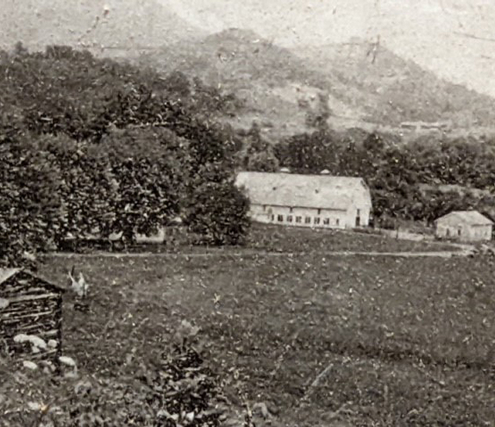 Triple Creek Farm is nestled in the breathtaking Great Smoky Mountains, west of Asheville.